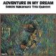 復刻 SEIICHI NAKAMURA 中村誠一 / Adventure In My Dream アドヴェンチャー・イン・マイ・ドリーム (紙ジャケCD) (THINK! /TBM)