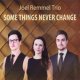 ピアノ・トリオ  JOEL REMMEL TRIO / Some Things Never Change [digipackCD] (澤野工房)