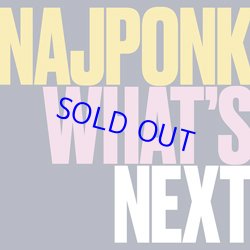 画像1: ピアノ・トリオ　NAJPONK / What's Next [digipackCD] (ANIMAL MUSIC) 