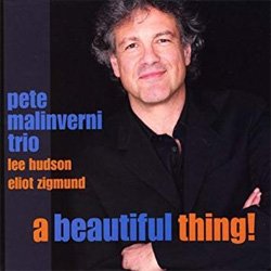 画像1: ピアノ・トリオ  PETE MALINVERNI TRIO / A Beautiful Thing! (CD) (SARANAC)