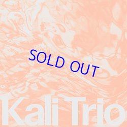 画像1: KALI TRIO / The Playful Abstract [CD]] (RONIN RHYTHM RECORDS)