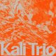 アナログ  KALI TRIO / The Playful Abstract [LP]] (RONIN RHYTHM RECORDS)