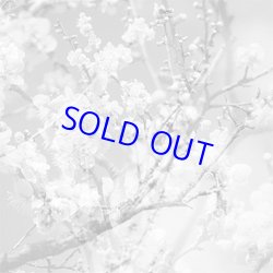 画像1: 菊池雅章Kikuchi Masabumi / Hanamichi -The Final Studio Recording Vol.2  [CD]] (RED HOOK)