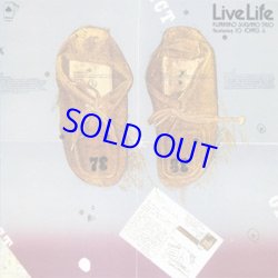 画像1: 菅野邦彦トリオ / ライブ・ライフ/フィーチャリング ジョー・ジョーンズ  [紙ジャケCD]] (SOLID)