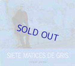 画像1: CARLOS LASTRA/Siete matices de gris