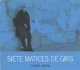 CARLOS LASTRA/Siete matices de gris