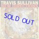TRAVIS SULLIVAN /New Directions (CD) (POSI-TONE)*