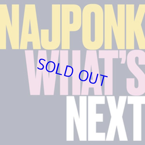 画像1: ピアノ・トリオ　NAJPONK / What's Next [digipackCD] (ANIMAL MUSIC) 