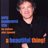 画像: ピアノ・トリオ  PETE MALINVERNI TRIO / A Beautiful Thing! (CD) (SARANAC)