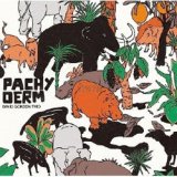 画像: 再入荷ピアノ・トリオ DAVID GORDON / Pachyderm(パキダーム)  [digipackCD] (MISTER SAM RECORDS)