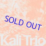 画像: KALI TRIO / The Playful Abstract [CD]] (RONIN RHYTHM RECORDS)