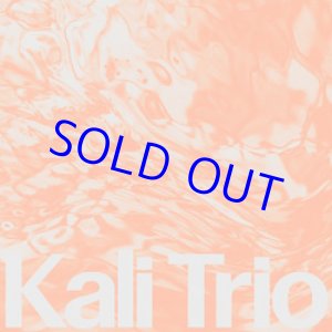 画像: KALI TRIO / The Playful Abstract [CD]] (RONIN RHYTHM RECORDS)