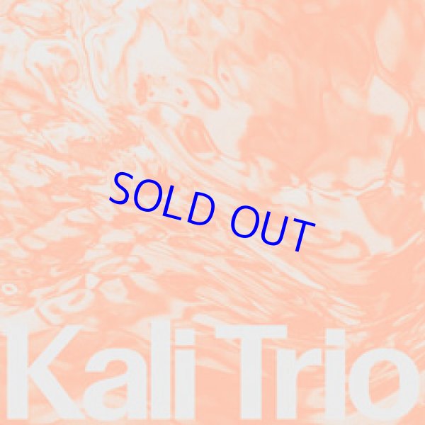画像1: KALI TRIO / The Playful Abstract [CD]] (RONIN RHYTHM RECORDS)