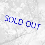 画像: 菊池雅章Kikuchi Masabumi / Hanamichi -The Final Studio Recording Vol.2  [CD]] (RED HOOK)