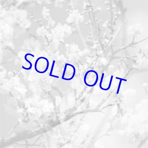 画像: 菊池雅章Kikuchi Masabumi / Hanamichi -The Final Studio Recording Vol.2  [CD]] (RED HOOK)