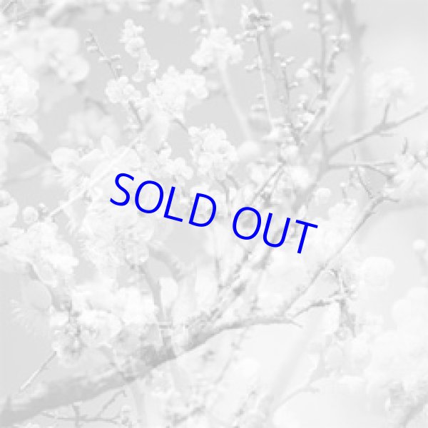 画像1: 菊池雅章Kikuchi Masabumi / Hanamichi -The Final Studio Recording Vol.2  [CD]] (RED HOOK)