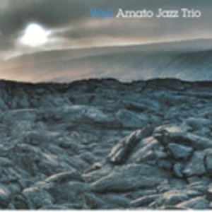 画像: AMATO JAZZ TRIO /Well (ABEAT FOR JAZZ)