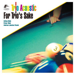 画像1: ピアノ・トリオ  TRIO ACOUSTIC / For Trio’s Sake [紙ジャケCD] (GATS PRO)