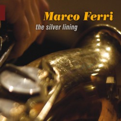 画像1: MARCO FERRI/The Silver Lining (NUCCIA/ITALY)